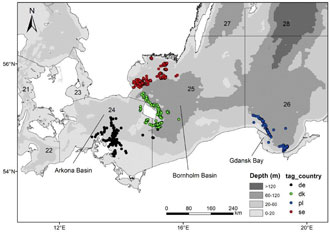 TABACOD map of the stations where tagged cod were released